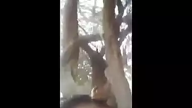 Desi village bhabhi outdoor sexy video