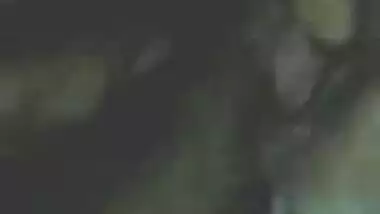 bohsia sengal